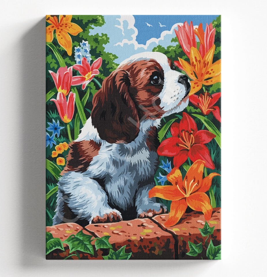 KÖPEK VE ÇİÇEK - SAYILARLA BOYAMA SETİ