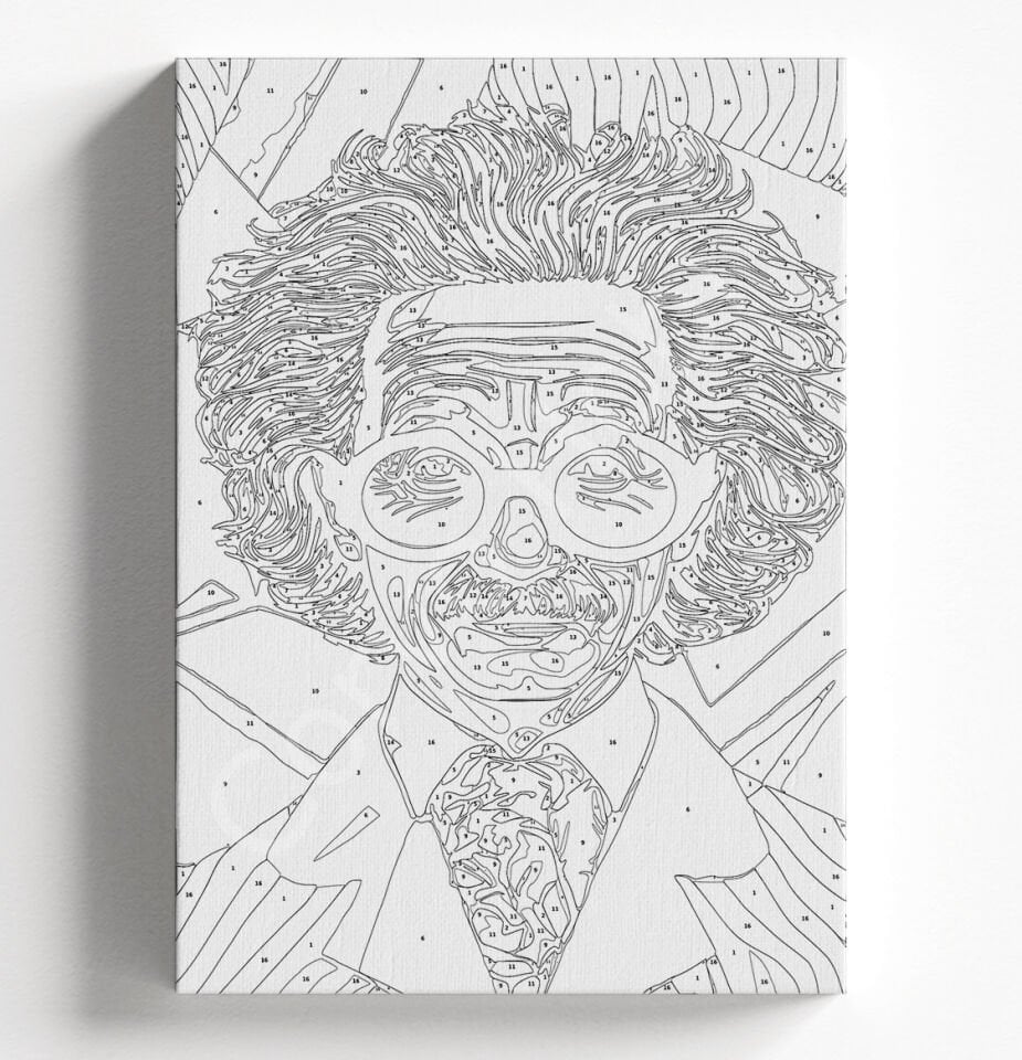 ALBERT EİNSTEİN SAYILARLA BOYAMA SETİ