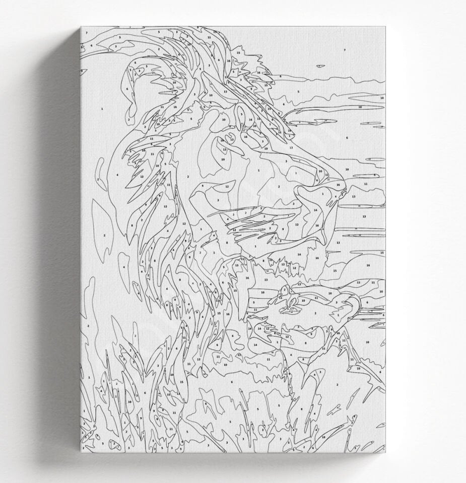 ASLAN OĞUL SAYILARLA BOYAMA SETİ