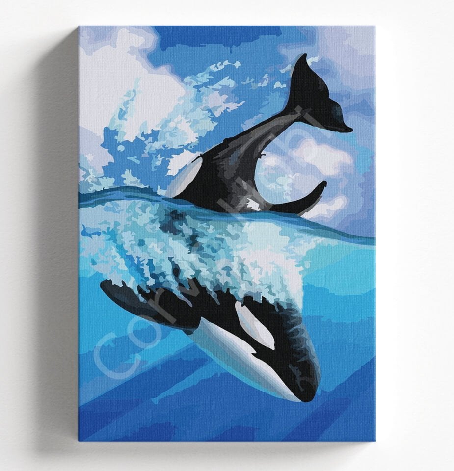 BALİNA - SAYILARLA BOYAMA SETİ