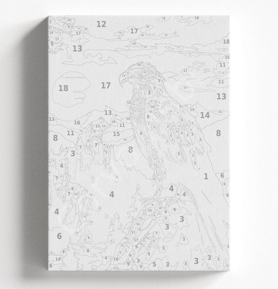 DAĞLARDA KARTAL - SAYILARLA BOYAMA SETİ