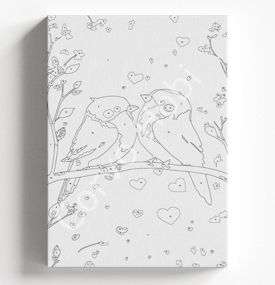 SEVGİLİ KUŞLAR SAYILARLA BOYAMA HOBİ SETİ