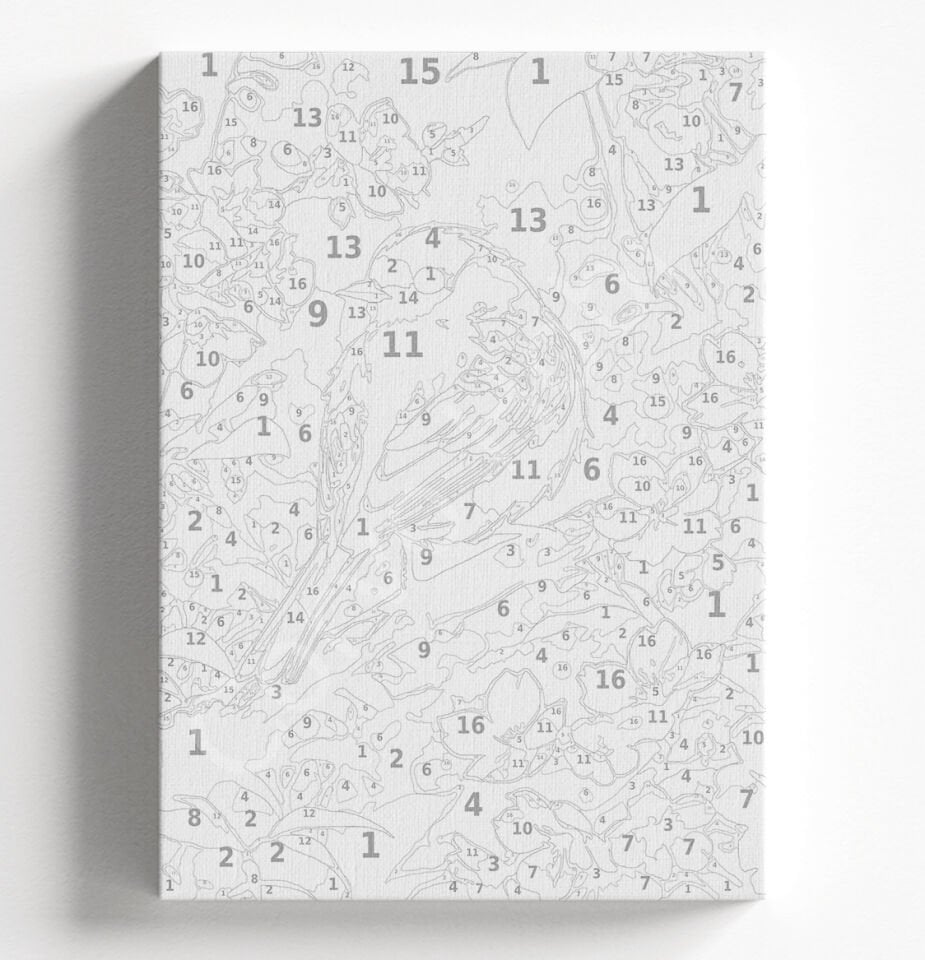 PEMBE KUŞ - SAYILARLA BOYAMA SETİ