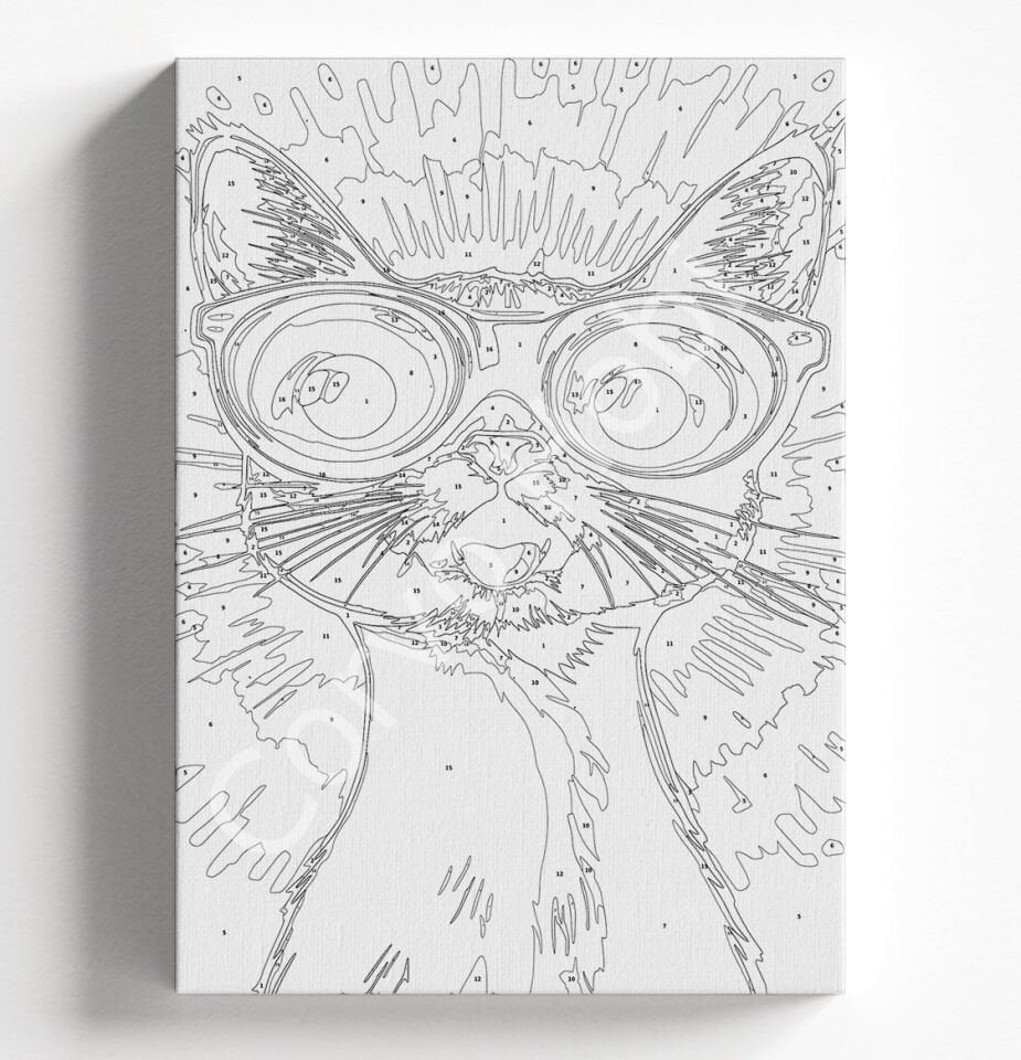 ŞAŞKIN GÖZLÜKLÜ KEDİ SAYILARLA BOYAMA HOBİ SETİ