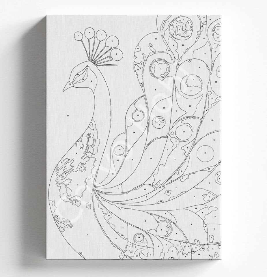 TAVUSKUŞU SAYILARLA BOYAMA HOBİ SETİ