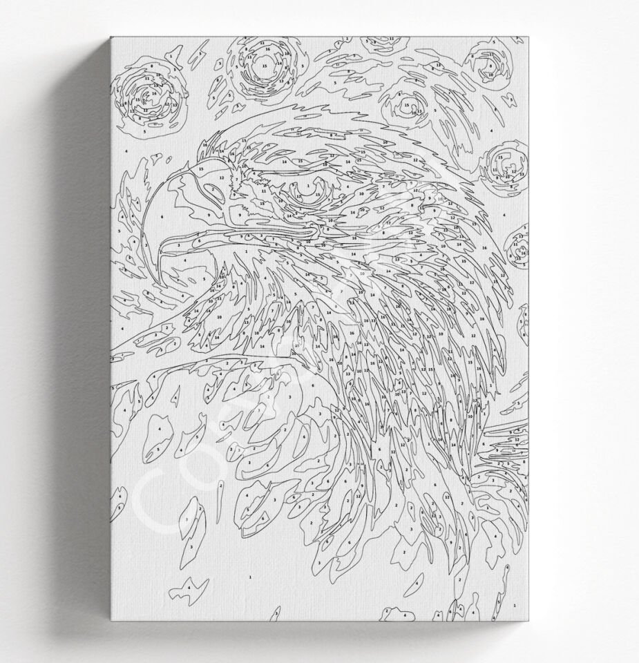 YILDIZLI GECE KARTAL SAYILARLA BOYAMA HOBİ SETİ