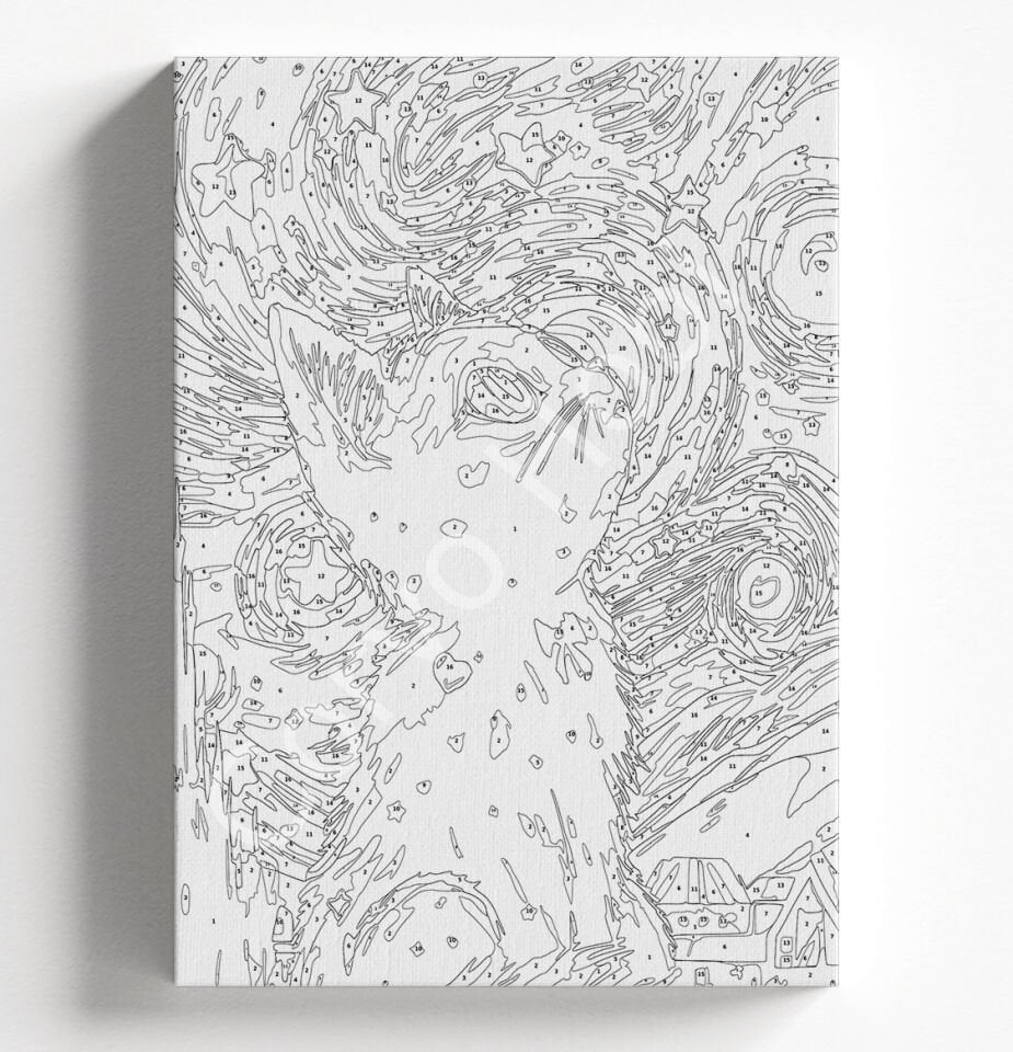 YILDIZLI GECE KEDİ SAYILARLA BOYAMA HOBİ SETİ