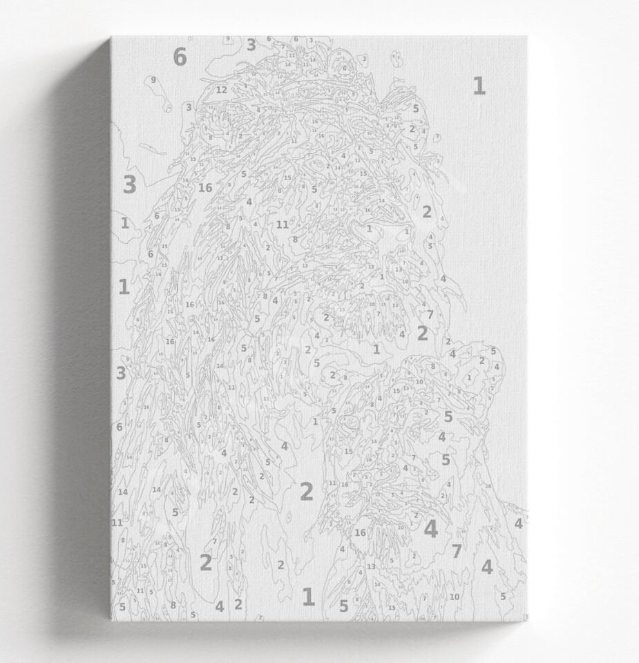 ASLAN KRAL - SAYILARLA BOYAMA SETİ