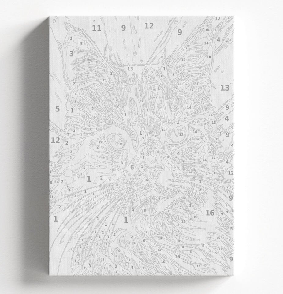 TURUNCU KEDİ - SAYILARLA BOYAMA SETİ