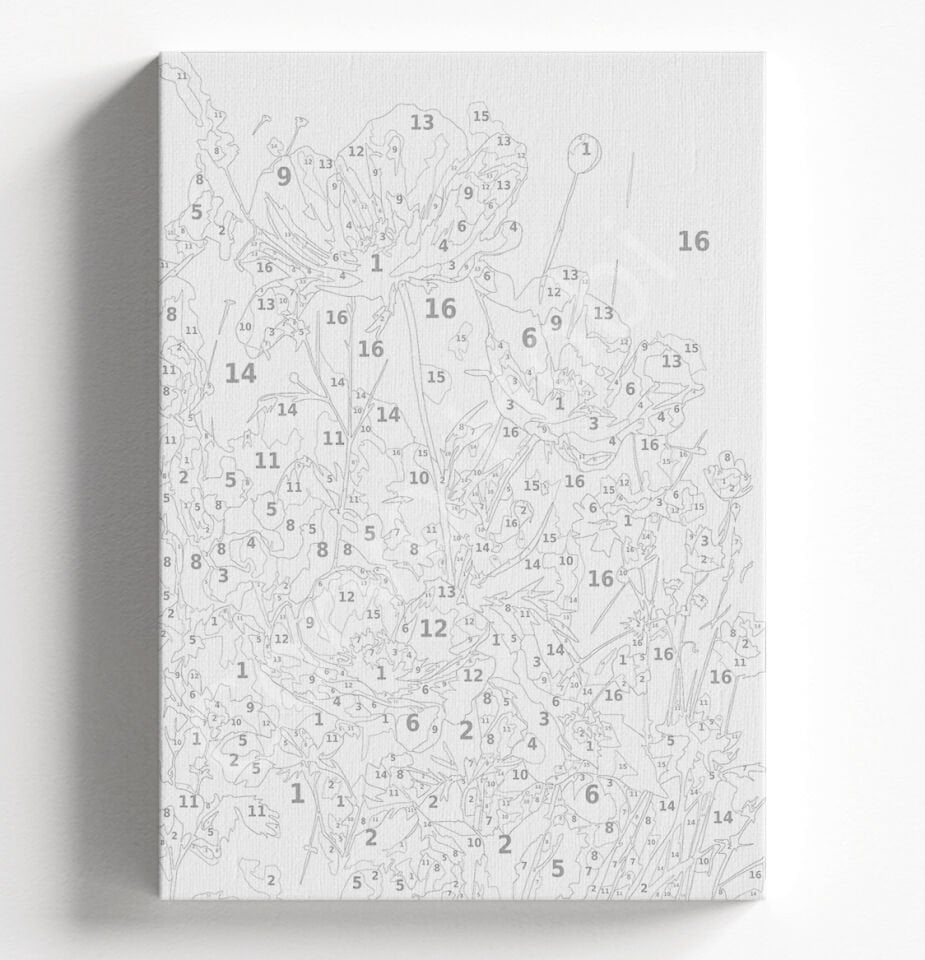 KALDIRIM ÇİÇEĞİ - SAYILARLA BOYAMA SETİ