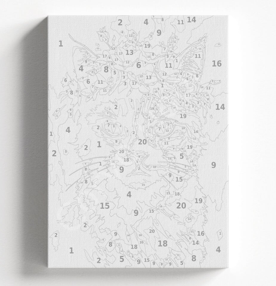 TAÇLI KEDİ - SAYILARLA BOYAMA SETİ