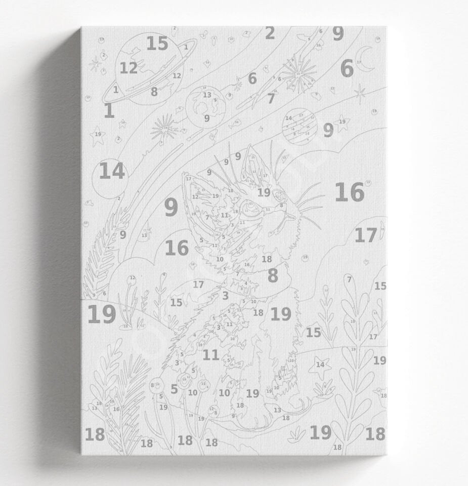 UZAY VE KEDİ - SAYILARLA BOYAMA SETİ