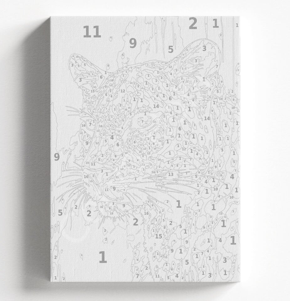 PİNK LEOPAR - SAYILARLA BOYAMA SETİ