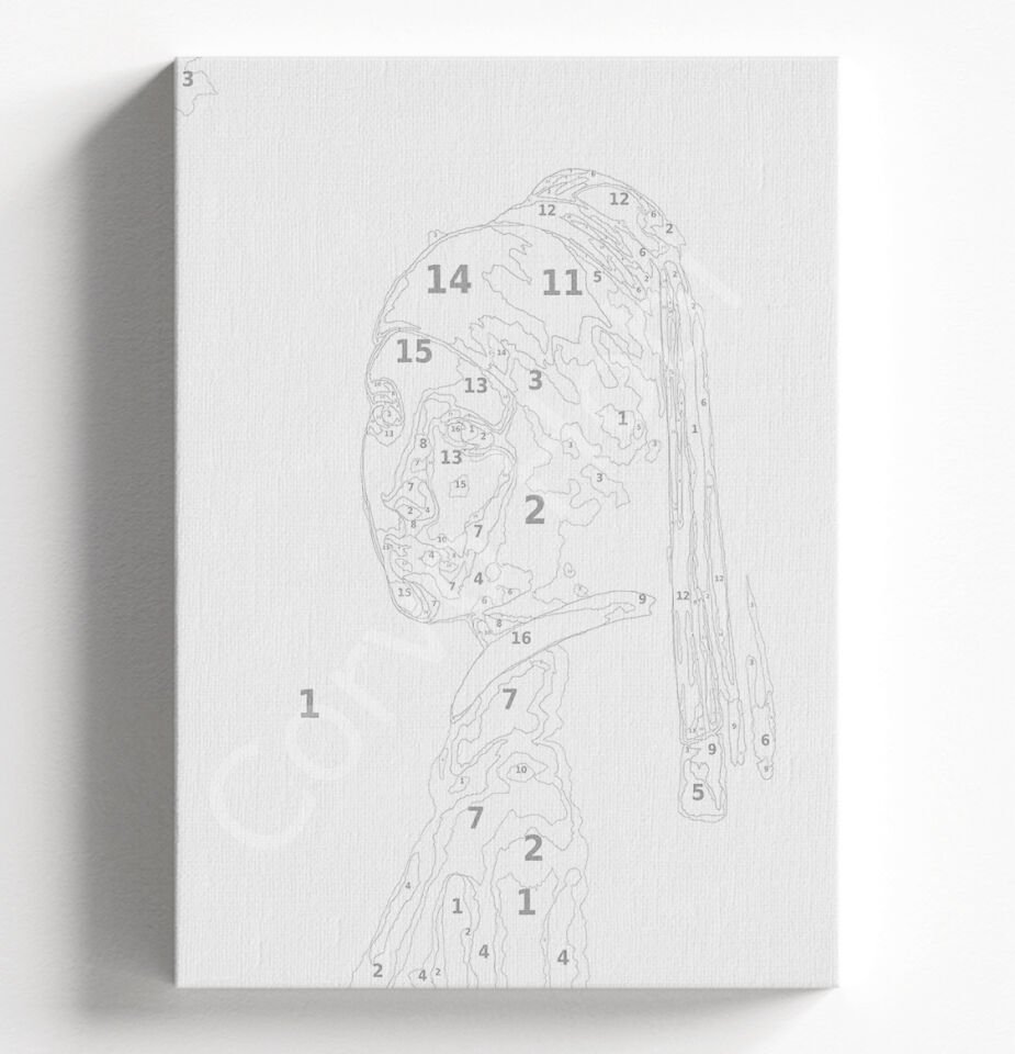 İNCİ KÜPELİ KIZ - SAYILARLA BOYAMA SETİ