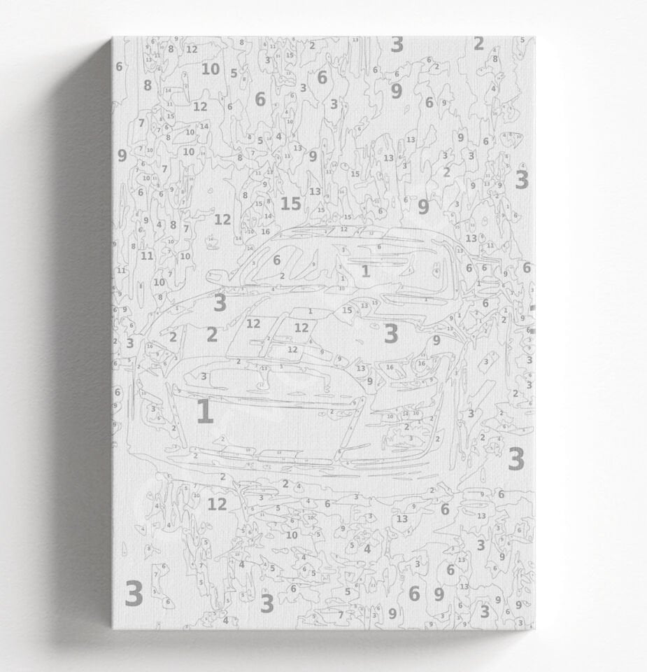 COBRA - SAYILARLA BOYAMA SETİ