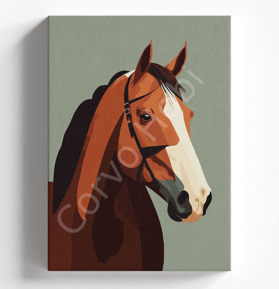 DRAGO AT - SAYILARLA BOYAMA SETİ