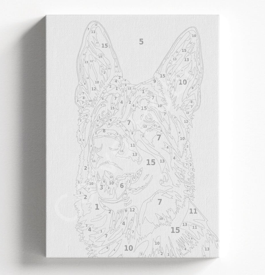 ALMAN KÖPEĞİ - SAYILARLA BOYAMA SETİ