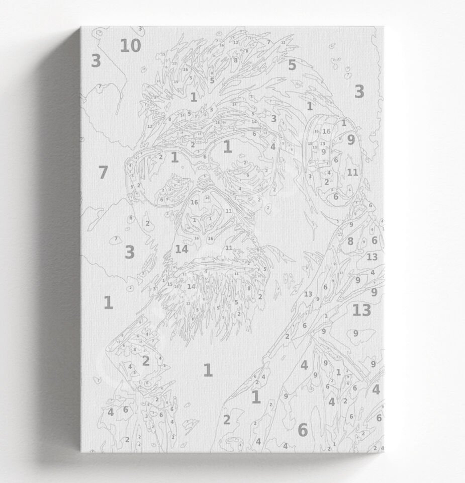 MAYMUN - SAYILARLA BOYAMA SETİ