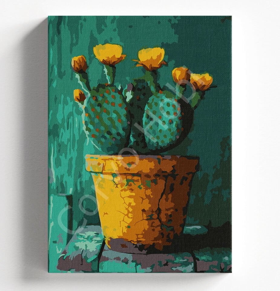 KAKTÜS - SAYILARLA BOYAMA SETİ