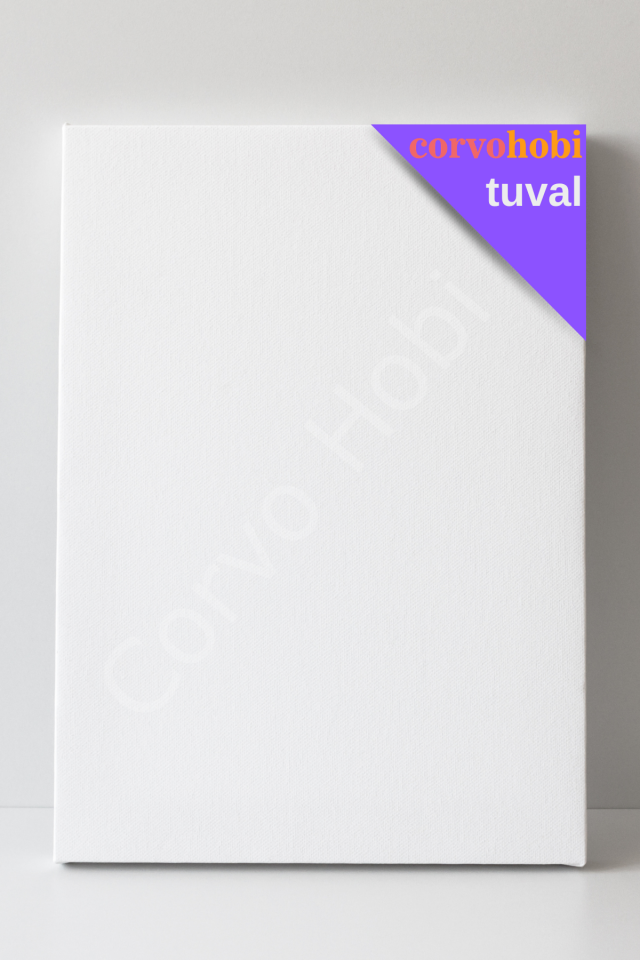 ARKADAN ZIMBALI AKADEMİK TUVAL